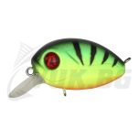 Baby Red Rag 32F-SR - 042 Matte Chartreuse Perch